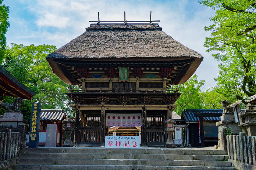 青井阿蘇神社 aoi_aso_shrine