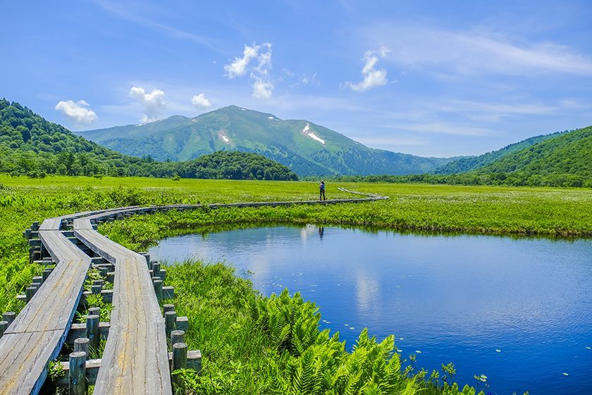 尾瀨國立公園 oze national park